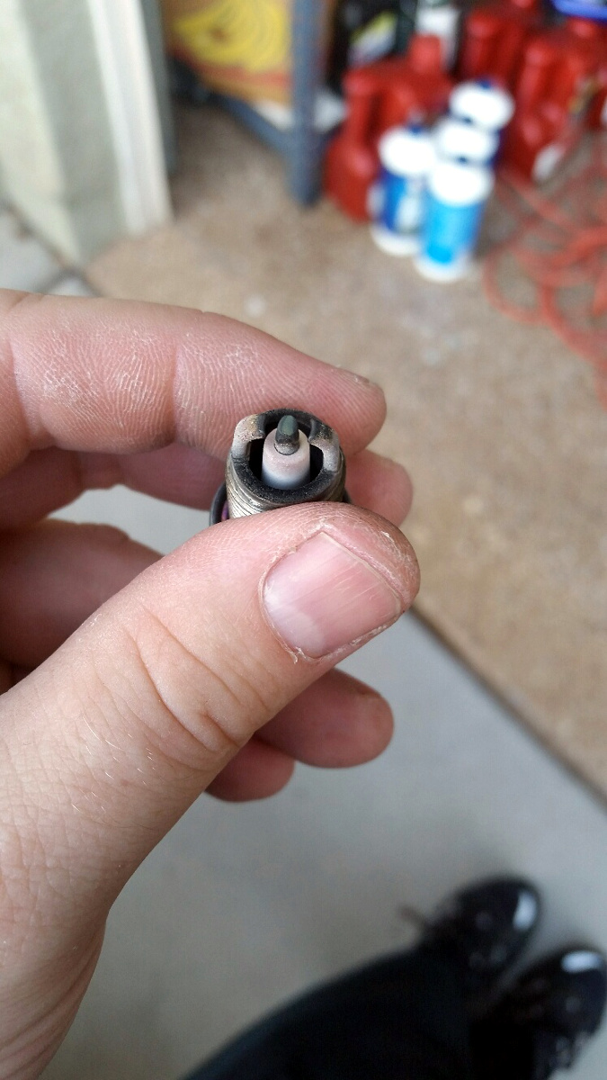 PLUGS.jpg